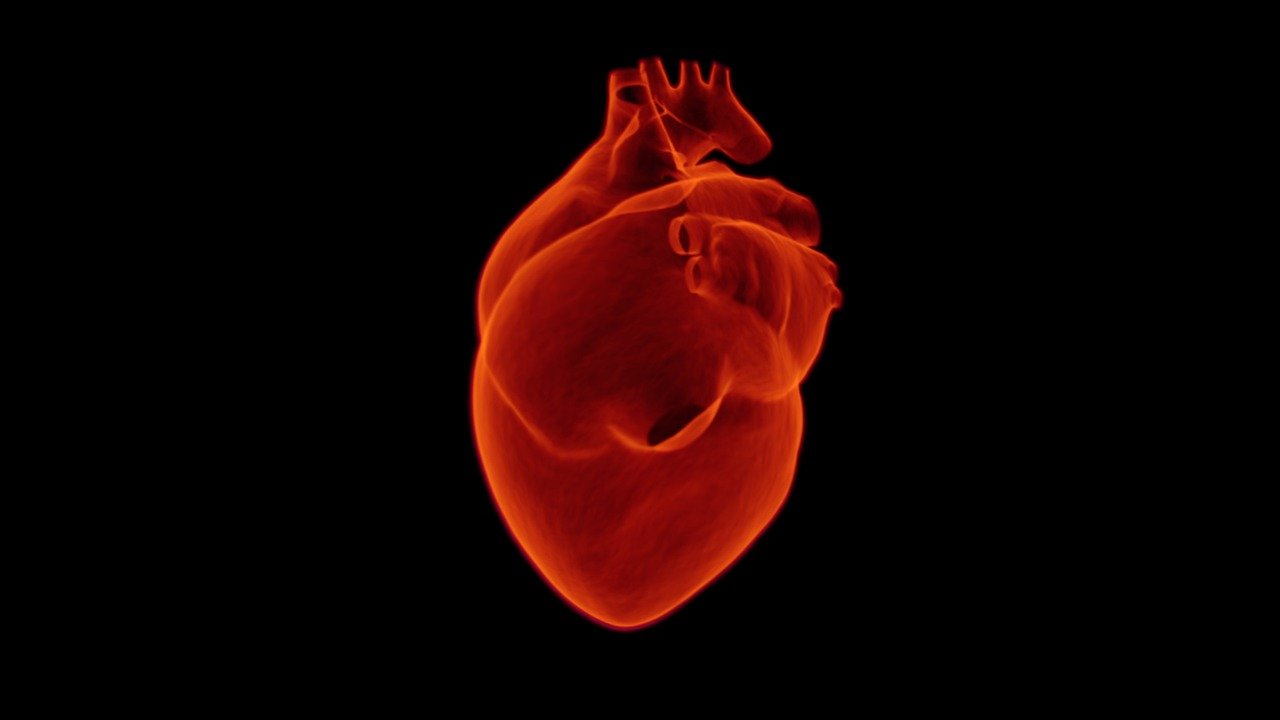 Serce ozdrowieńca – czy choroba COVID- 19 wpływa na serce?